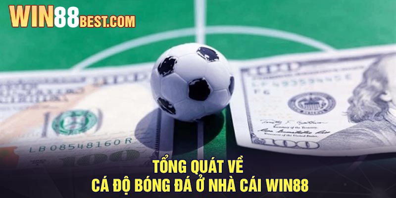 Tổng quát về cá độ bóng đá ở nhà cái Win88
